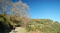 DSCN5602