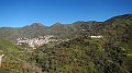 DSCN9904
