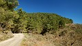 DSCN9922
