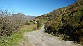 DSCN9926