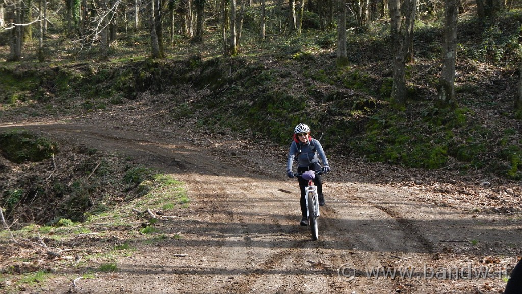 DSCN7570.JPG -                                