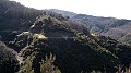 DSCN4319