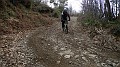 DSCN4365