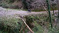 DSCN4374