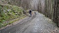 DSCN4377