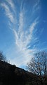 DSCN7507