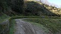 DSCN7508