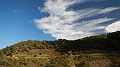 DSCN7539