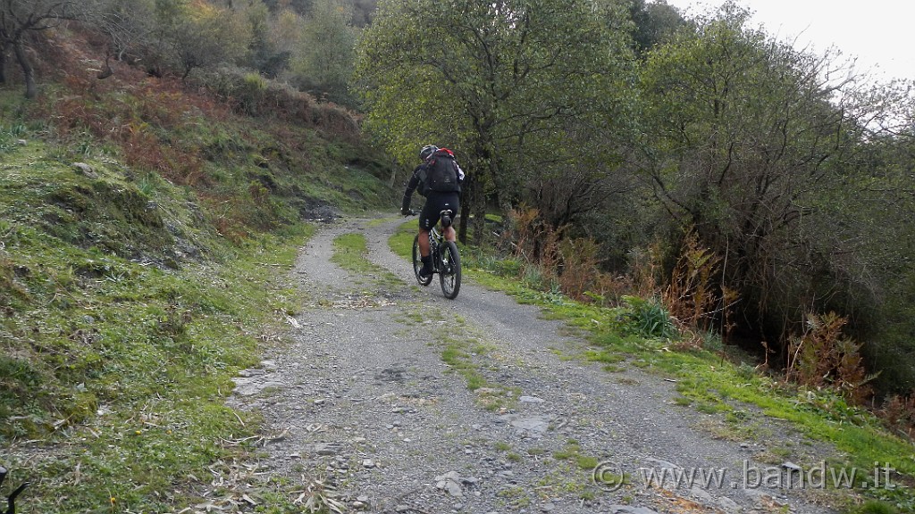 DSCN6170.JPG -                                