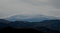 DSCN6151