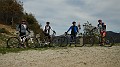 DSCN6152