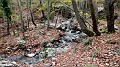 DSCN6162