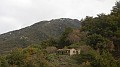 DSCN6165