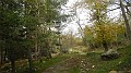 DSCN6173