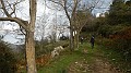 DSCN6176