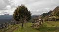 DSCN6210