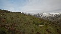 DSCN7116