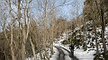 DSCN7125