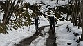 DSCN7131