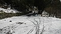 DSCN7135