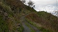 DSCN7165