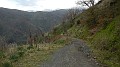 DSCN7166