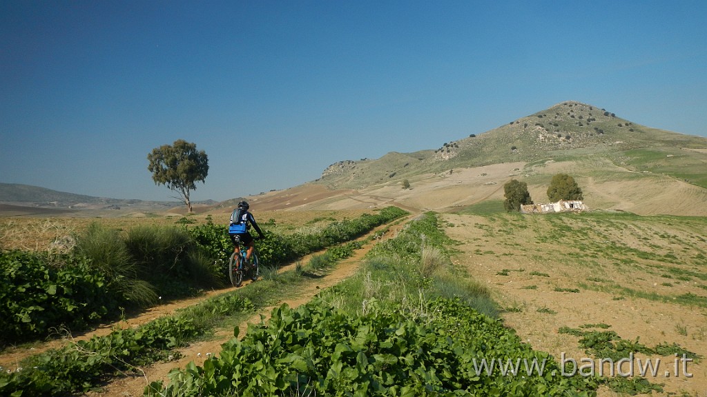 DSCN4120.JPG - Piana di Catania