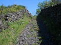DSCN4611