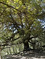 DSCN4613-14