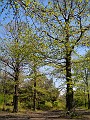 DSCN4624