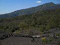 DSCN4636