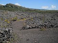 DSCN4637