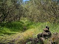 DSCN4638