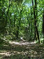 DSCN4645
