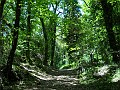 DSCN4647
