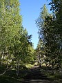 DSCN5182