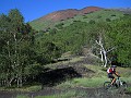 DSCN5186