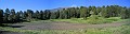 DSCN5191-92-93
