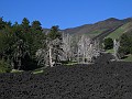 DSCN5195