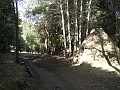 DSCN1557