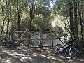 DSCN1565