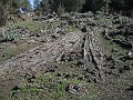 DSCN1566