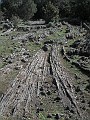 DSCN1567