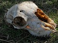 DSCN1574