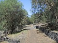 DSCN1579