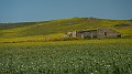 DSCN7139