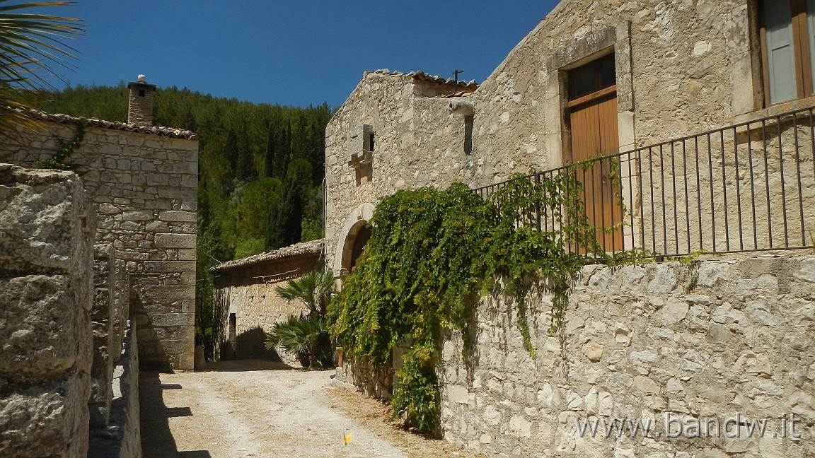 DSCN6534.JPG - Pineta di Chiaramonte Gulfi