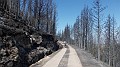 DSCN0246