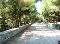 DSCN6846