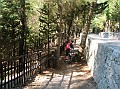 DSCN6847